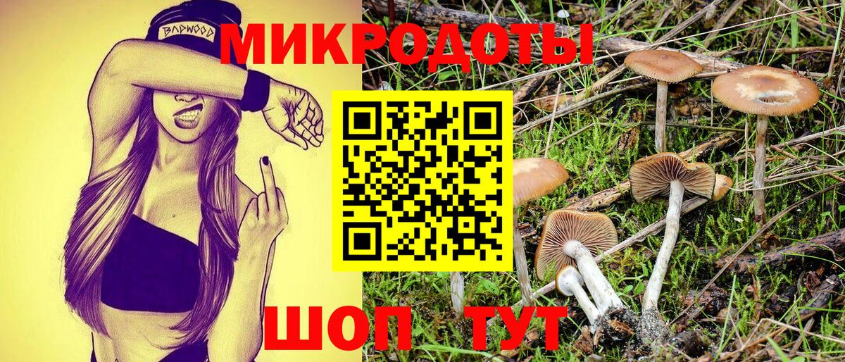 Галлюциногенные грибы Cubensis  Переславль-Залесский  Галлюциногенные грибы Cubensis 