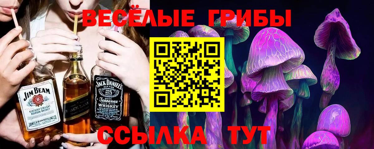 Переславль-Залесский  Псилоцибиновые грибы MAGIC MUSHROOMS  Вход с VPN 